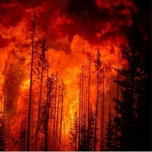 Meet your Posher, Nathan